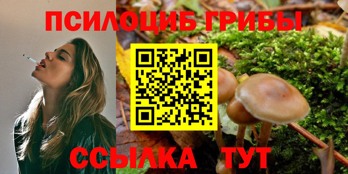 Галлюциногенные грибы Psilocybine cubensis Кудымкар