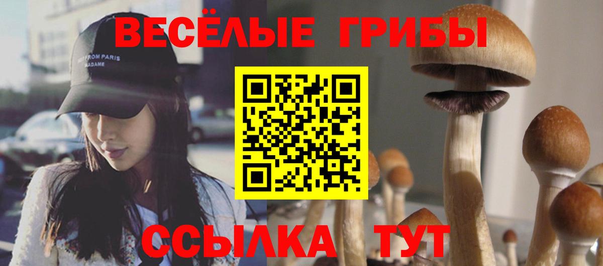 Кудымкар  Галлюциногенные грибы Psilocybe  Галлюциногенные грибы прущие грибы  Вход с VPN 